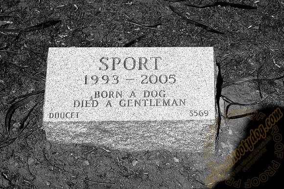 sport