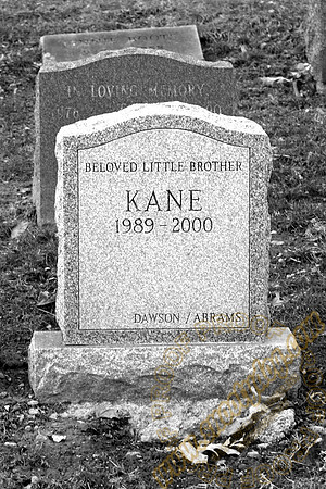kane