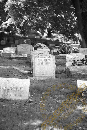 IMG_5527