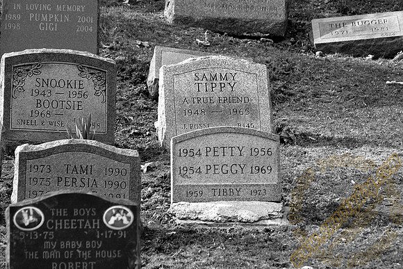 peggy 4