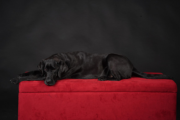 LWM04964