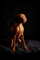 LWM08819