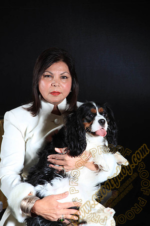 SPCA THAT 076