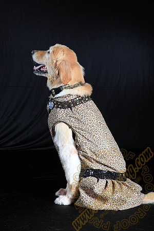 SPCA THAT 014