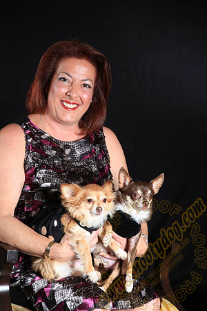 SPCA THAT 078