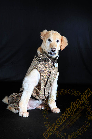SPCA THAT 015