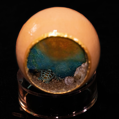 Chicken Egg Diorama LWM01606