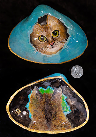cat peeking through hole - $148