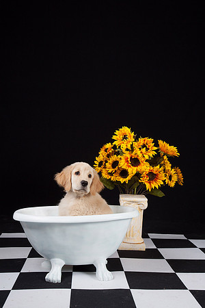 IMG_7939