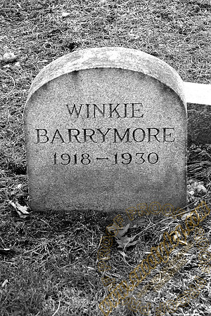 winkie