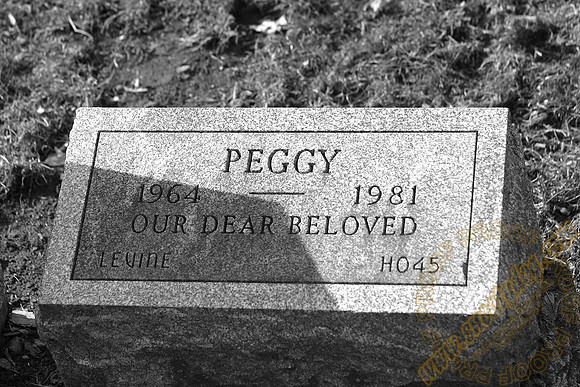 peggy 1