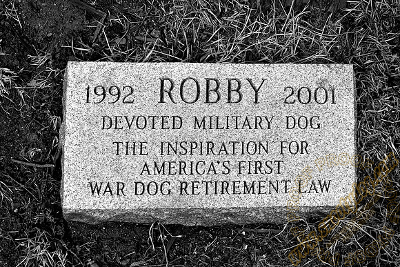 robby