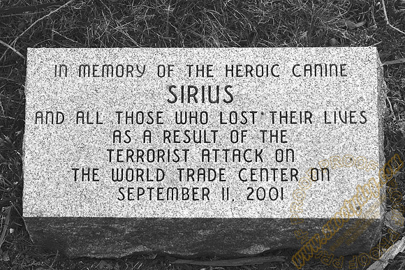 sirius