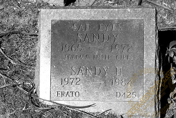 sandy
