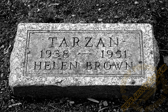 tarzan