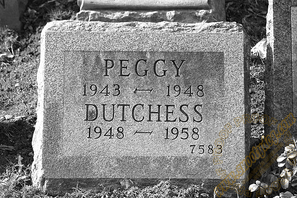peggy 2