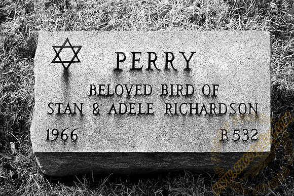 perry bird