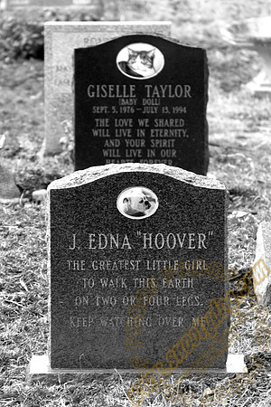 j edna hoover