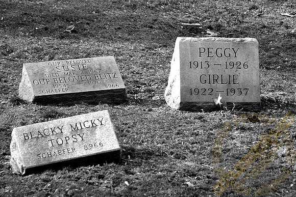 peggy 3